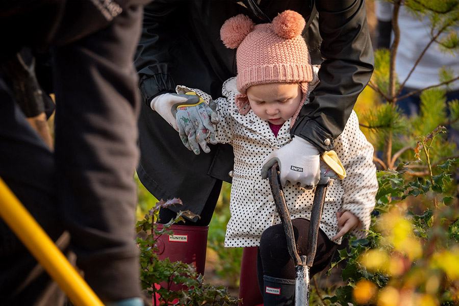 Zenterra Green Program
